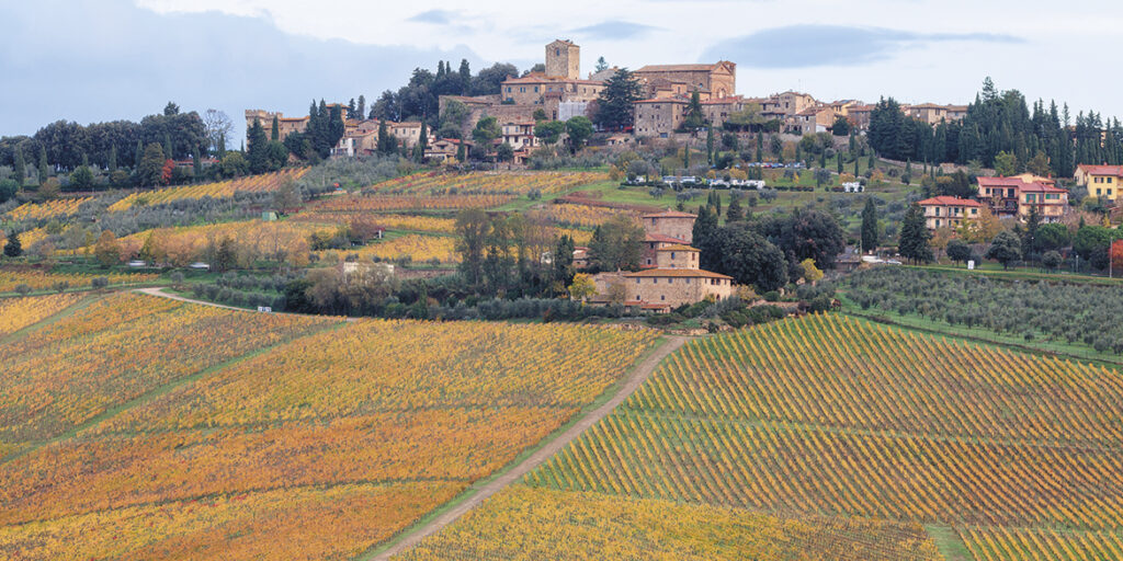 Le Unità geografiche del Chianti Classico: l’oasi bio di Panzano