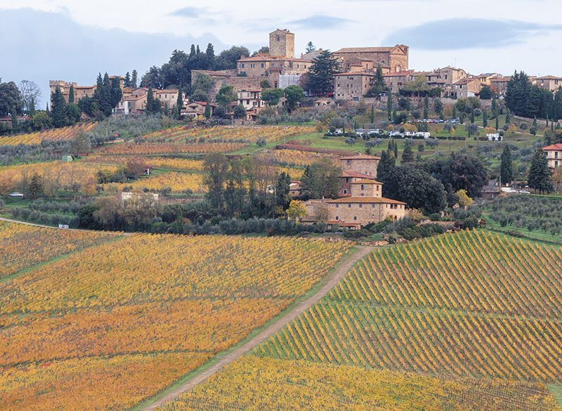 Le Unità geografiche del Chianti Classico: l’oasi bio di Panzano