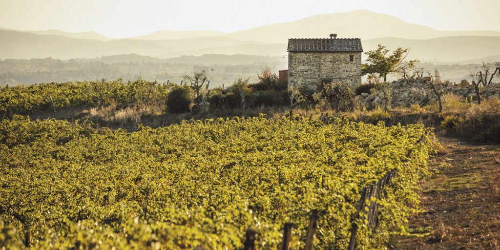 Le Unità geografiche del Chianti Classico: l’autorevolezza di Gaiole