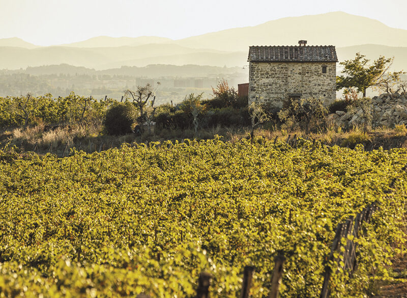 Le Unità geografiche del Chianti Classico: l’autorevolezza di Gaiole