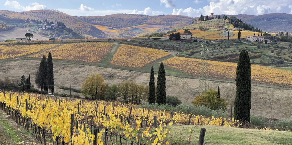 Le Unità geografiche del Chianti Classico: l’energia di Greve