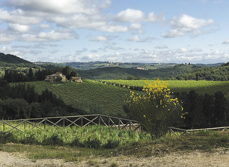 Le Unità geografiche del Chianti Classico: l’accogliente diversità di San Donato in Poggio