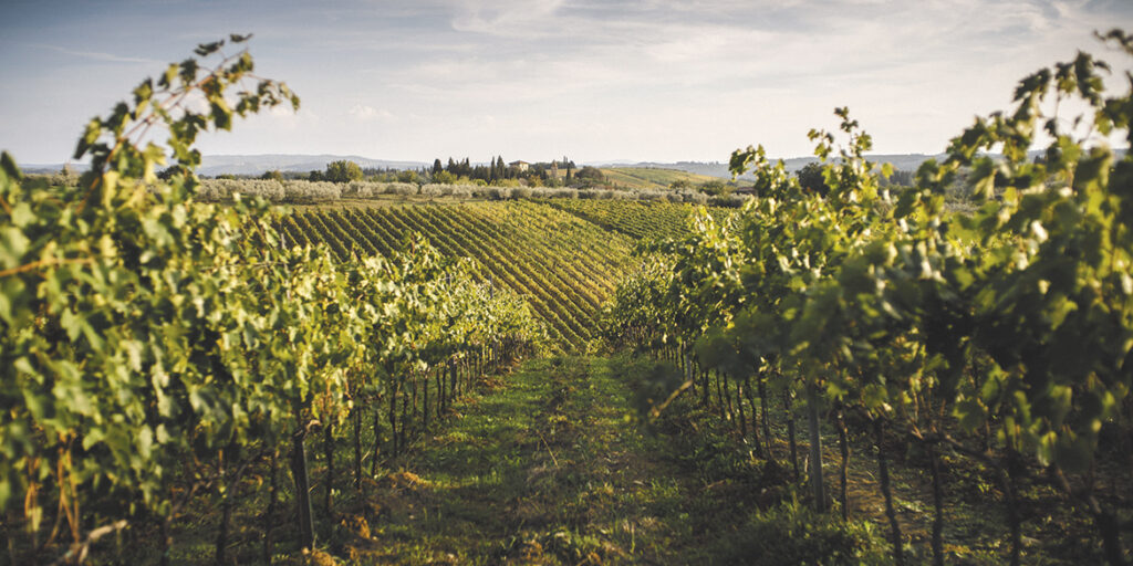 Le Unità geografiche del Chianti Classico: San Casciano solari