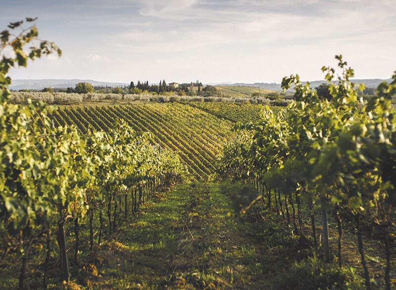 Le Unità geografiche del Chianti Classico: San Casciano solari