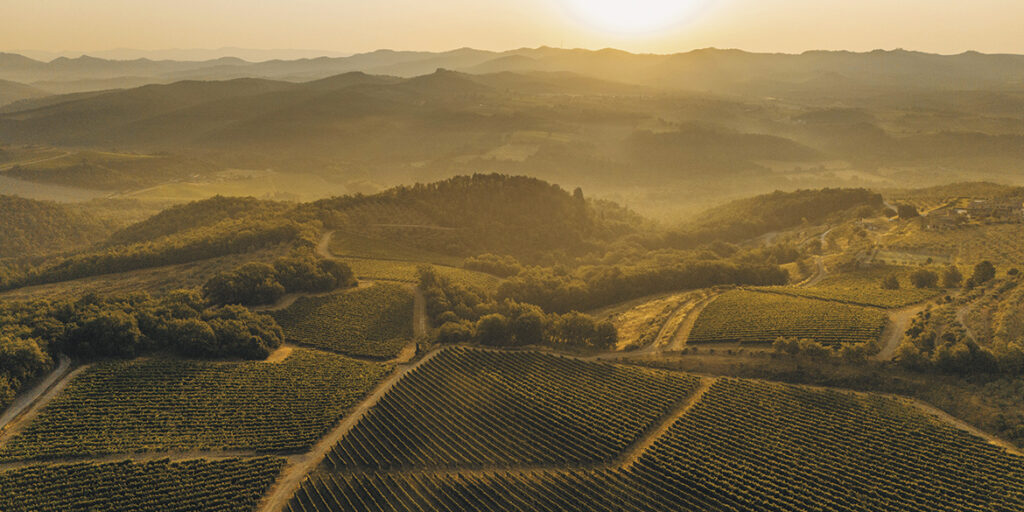 Le Unità geografiche del Chianti Classico: Vagliagli mediterranei