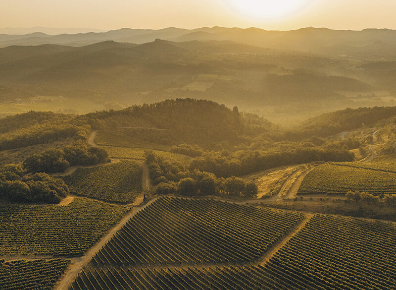Le Unità geografiche del Chianti Classico: Vagliagli mediterranei