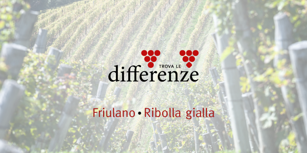 Trova le differenze (4): Friulano e Ribolla gialla