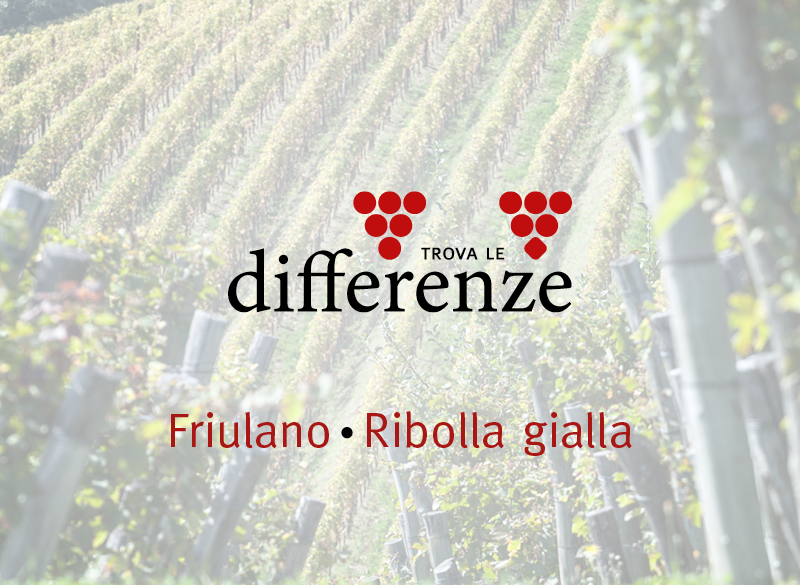 Trova le differenze (4): Friulano e Ribolla gialla