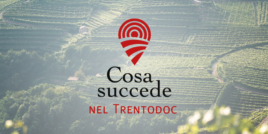 Trentodoc, le bollicine di montagna hanno imparato a fare sistema