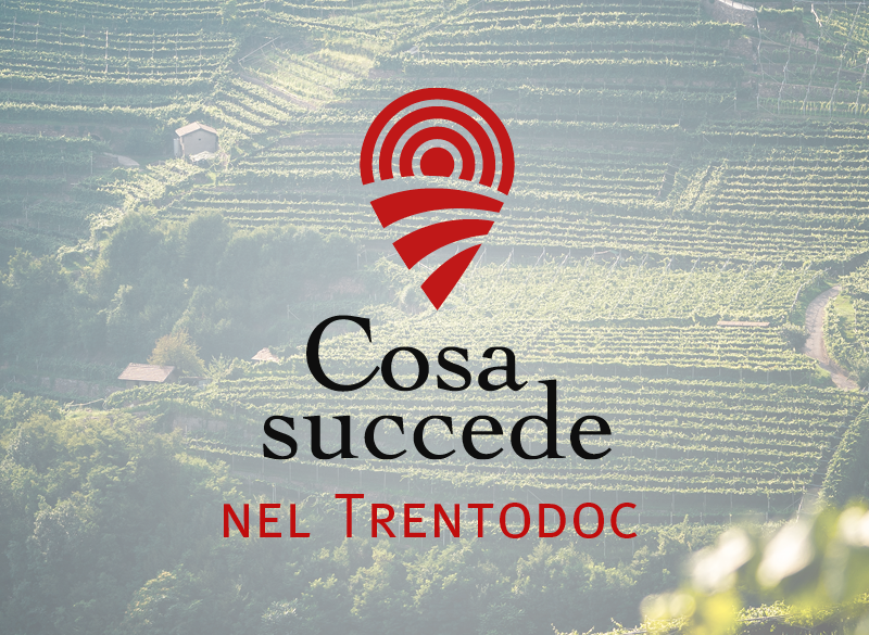 Trentodoc, le bollicine di montagna hanno imparato a fare sistema