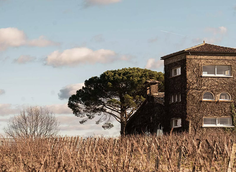 Château Rieussec, il Sauternes che sfida i luoghi comuni