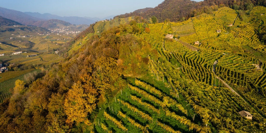Francia, la rivincita delle bollicine accessibili: Prosecco e Crémant