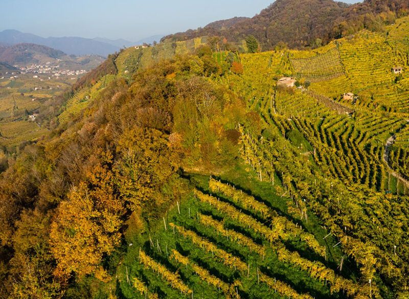 Francia, la rivincita delle bollicine accessibili: Prosecco e Crémant