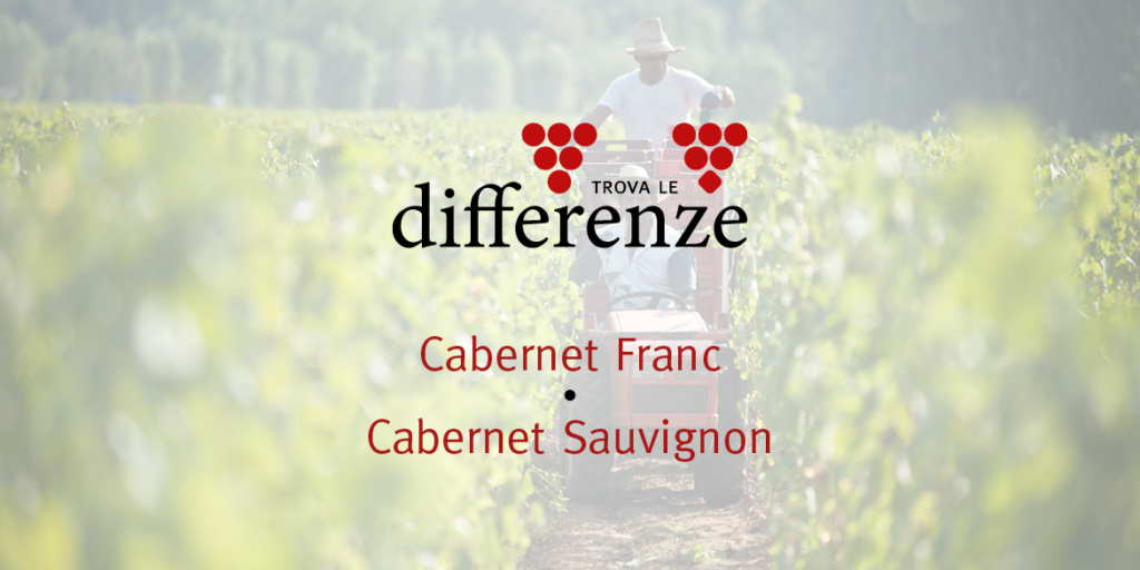 Trova le differenze (5): Cabernet Franc e Cabernet Sauvignon