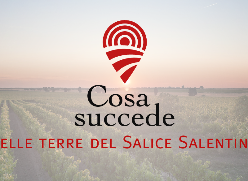 Il Negroamaro al centro del Salice Salentino Doc