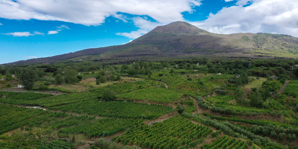 Conosciamo il Vesuvio del vino