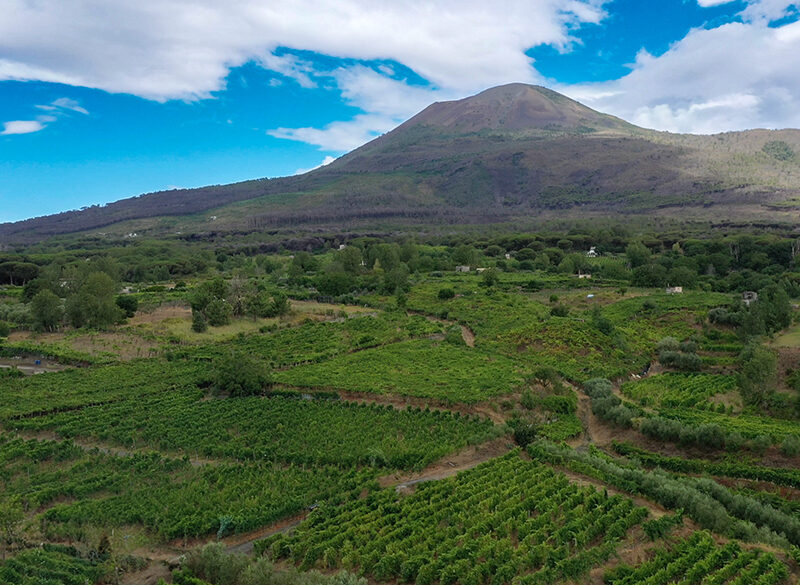 Conosciamo il Vesuvio del vino