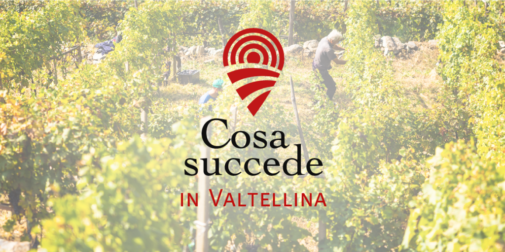 La vigna oltre l’ostacolo: quattro modi di essere produttori in Valtellina