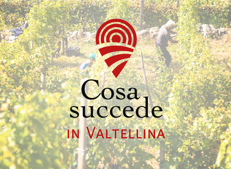 La vigna oltre l’ostacolo: quattro modi di essere produttori in Valtellina
