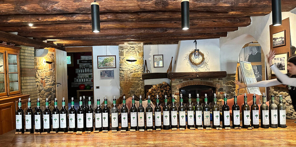 Storia completa di un vino: Ronco delle Mele