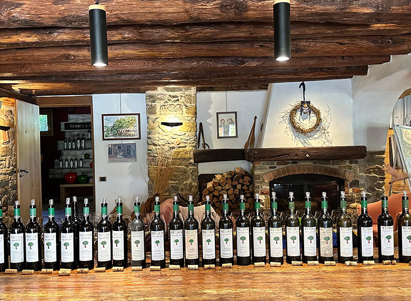 Storia completa di un vino: Ronco delle Mele